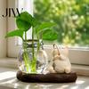 Creative Aromatherapy Stand Leisure Fishing Frog/Cat/Panda/Bear Statue Ornaments, Clear Mini Vases Miniature Handcrafted Animal Resin Statues