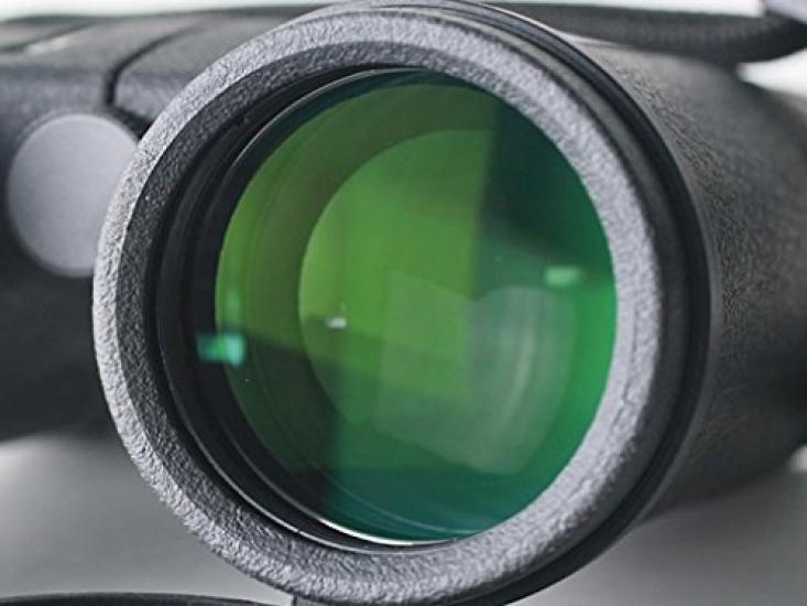 Astronomical Binoculars Hinode 8x42-D1 (black)