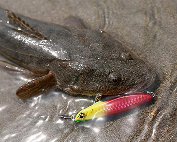 SHIMANO Saltwater Lure Sinking Pencil Netsuna Wing Beam 80HS 013 Kyorin Keimuraiwashi XG-880S