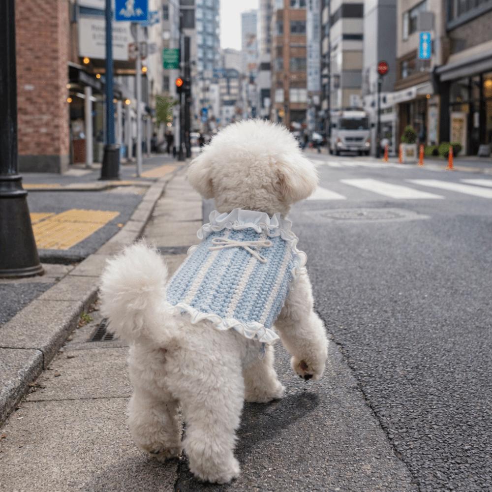 Thin Fabric Pet Mesh Vest Bow Design Pet Princess Dress Dog Two Leg Hoodie  Outdoor Walking