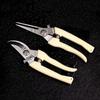 Stainless Steel Scissors Flower Cut Arrangement Pruning Fruit Tree Garden Branch Cutting Household Grafting Gardening Scissors