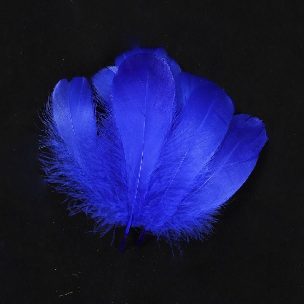 Large Soft Goose Feathers 14-18cm for DIY Dreamcatchers, Flowers & Crafts