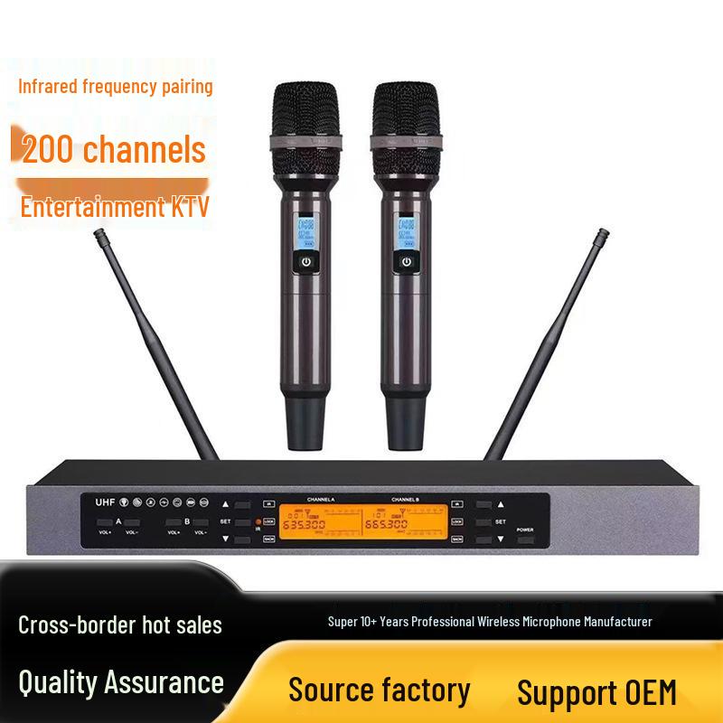 Wireless Dual Lapel Microphone for Home, Meetings, Rooms, and KTV Audio