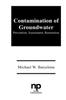 Libro Contamination of Groundwater : Prevention, Assessment, Restoration