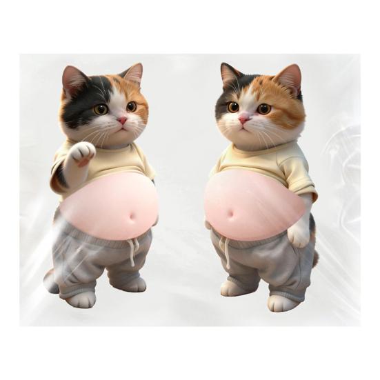 

2Pcs 3D Belly Cat Anti-collision Sticker Anxiety Stress Relief Elastic Tummy Cartoon Kitten Decal Silicone Belly Animal Buffer Sticker D