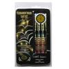 MASTER Virgin Brass darts 3 pieces - softip 16g