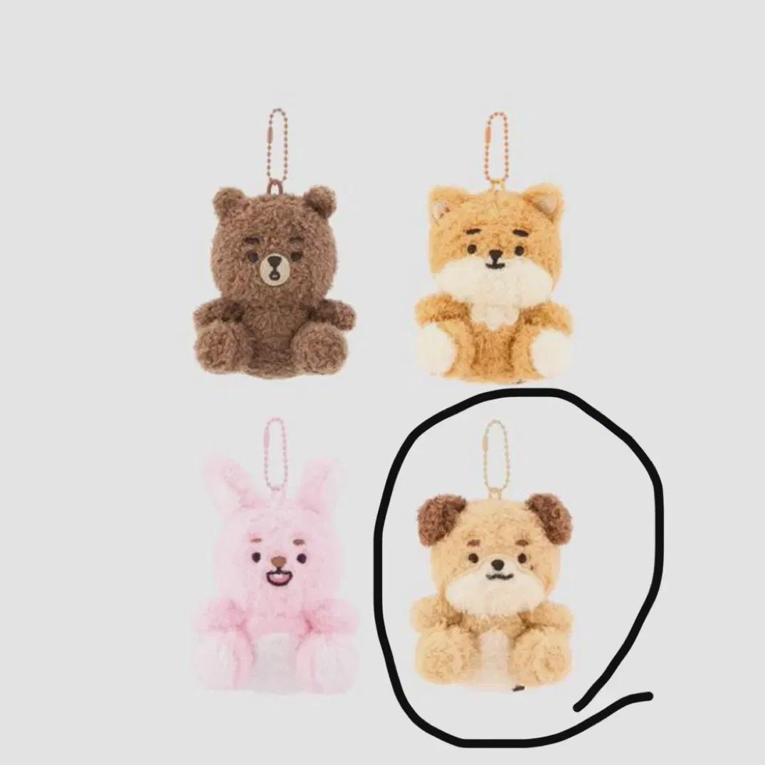 

Day6 Denimals Petit Mules Beautiful Sitting Money Dowoon
