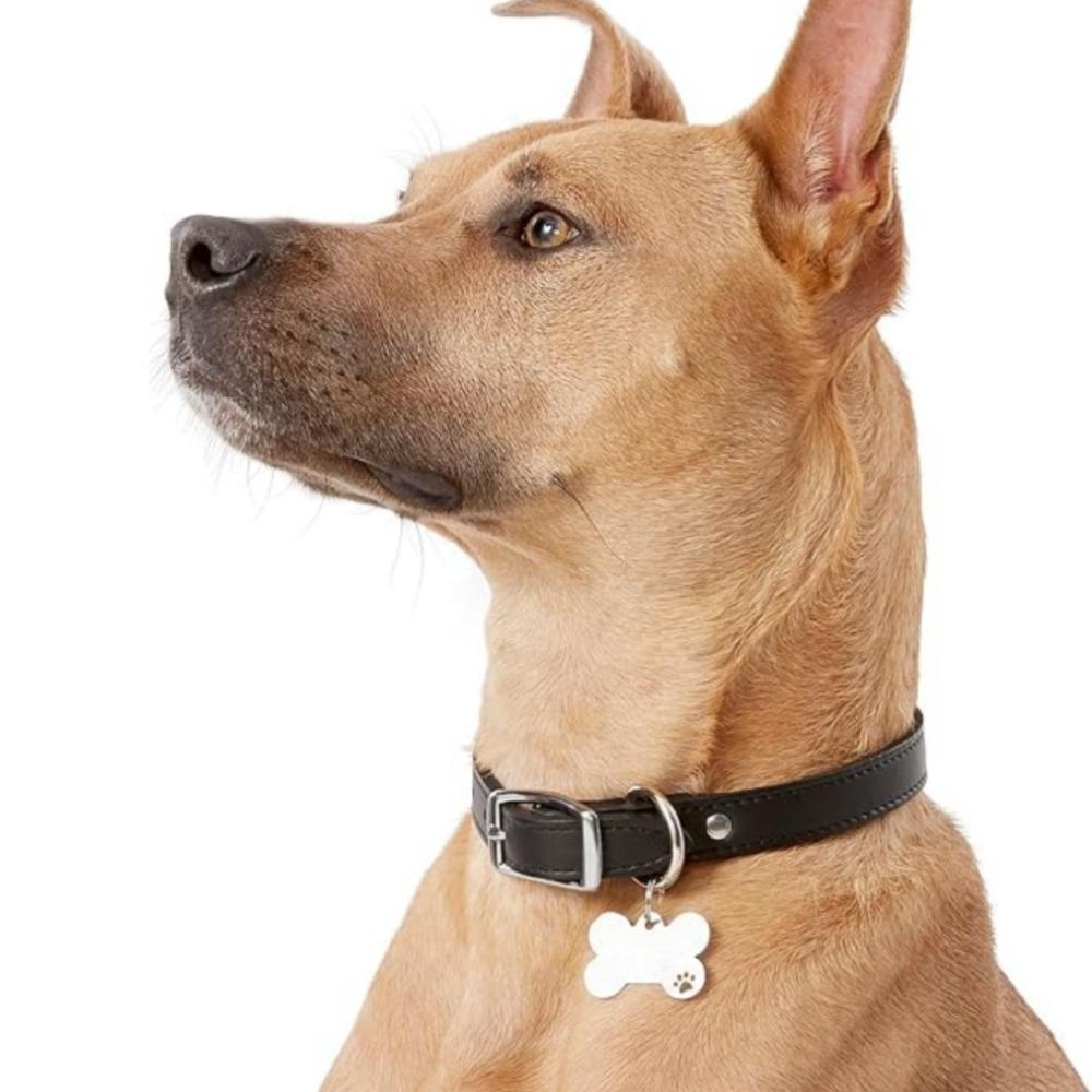 Personalized Pet Tag Keychain Stainless Steel Name Tags Dog Collar Anti-Lost Dog Decoration Bone Style for Pet Nameplate Pendant