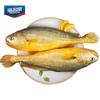Haimingwei Frozen Yellow Croaker
