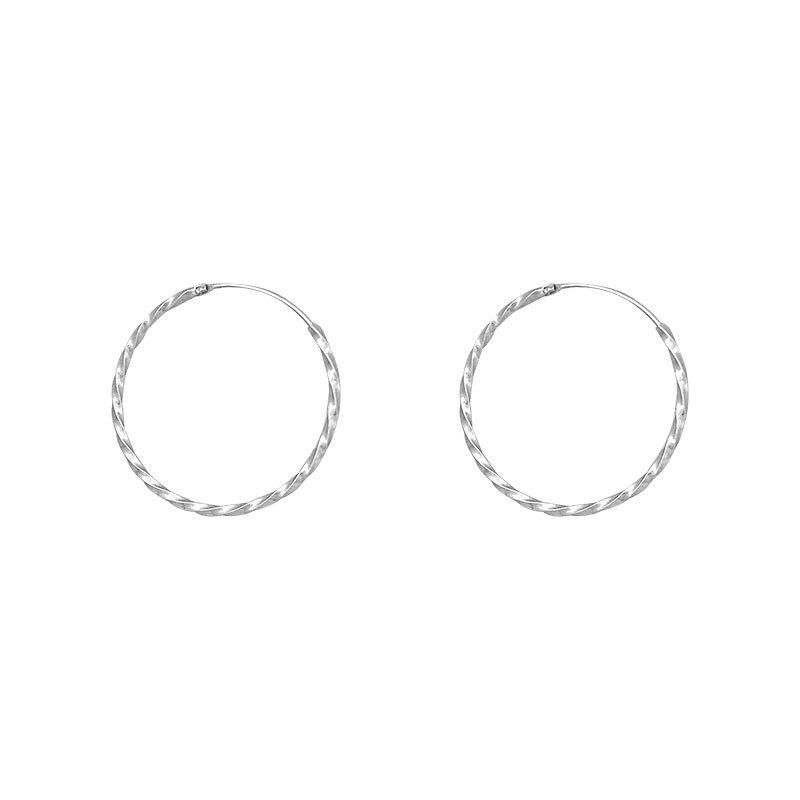Twist Earrings Large Ear Buckle Style Earrings Cold Style Simple Design Earrings for Women