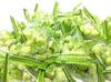 Sennarido Zielona Przekąska Pistacjowa o Smaku Wasabi 215g Pakowana Pojedynczo Chrupiąca Przekąska Fasolowa PISTACJA WASABI Zestaw 2