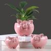 Simple Nordic Cartoon Animal Succulent Flower Pot Ceramic, Creative Gardening Water Flower Potter Home Decoration Ornament