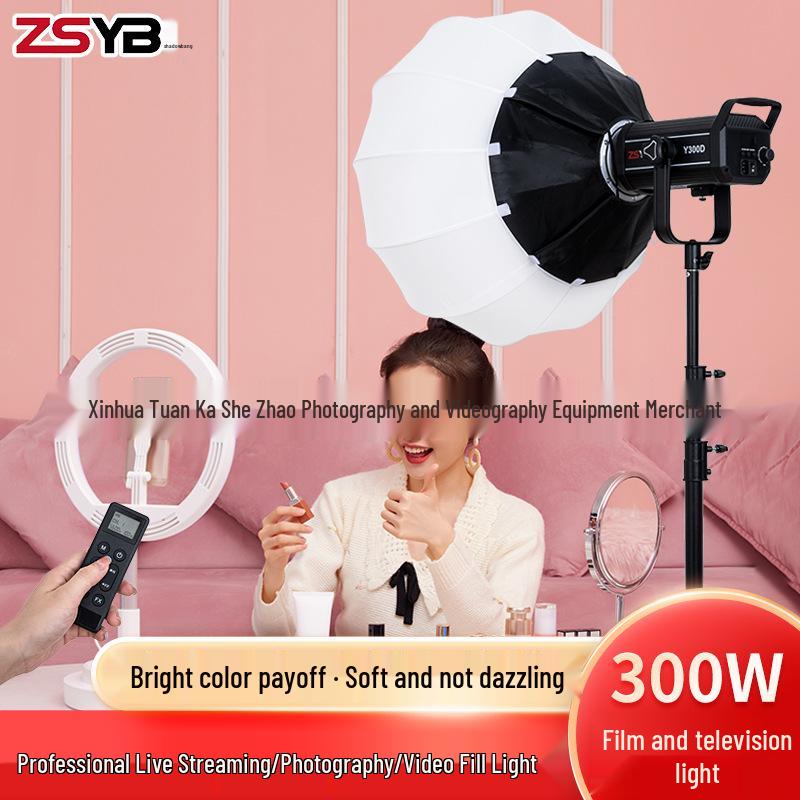 Yingbang Y300D/Y300S Video Fill Light with Honeycomb Grid Cover