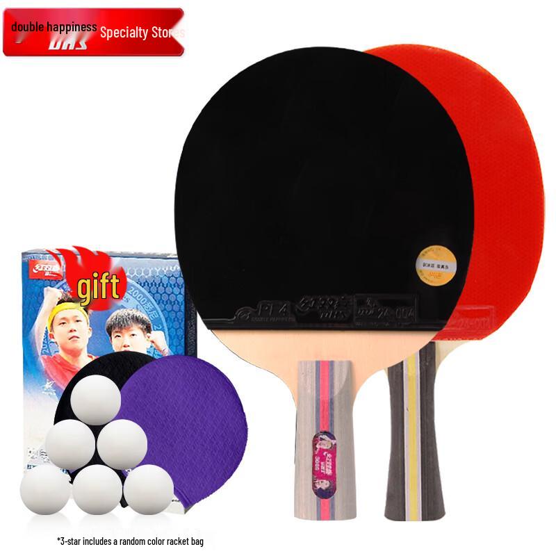DHS F3 1-Star Table Tennis Racket Set