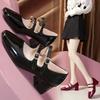 Women's Shoes 2025 Fashion Buckle Women Pumps Autumn Mary Jane Square Toe Shallow Solid Dress Party Chunky Heels Shoes Zapato