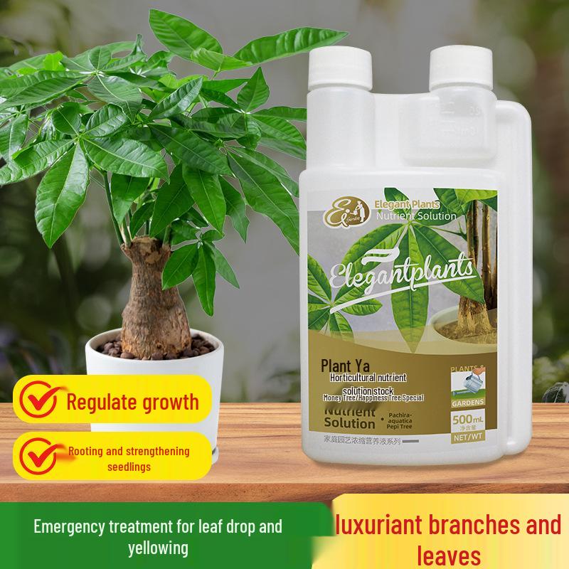 Universal Plant Nutrient Solution for Potted Money Trees, Happiness Trees, Succulents, Flowers, and Green Plants.
