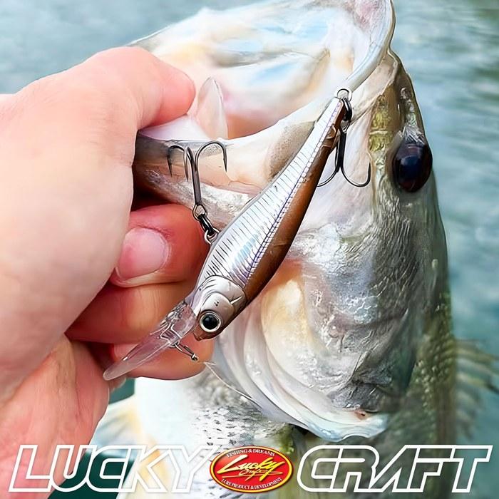 Lucky Craft Baby Shad 60F Fishing Lure (1314 Numakuron)