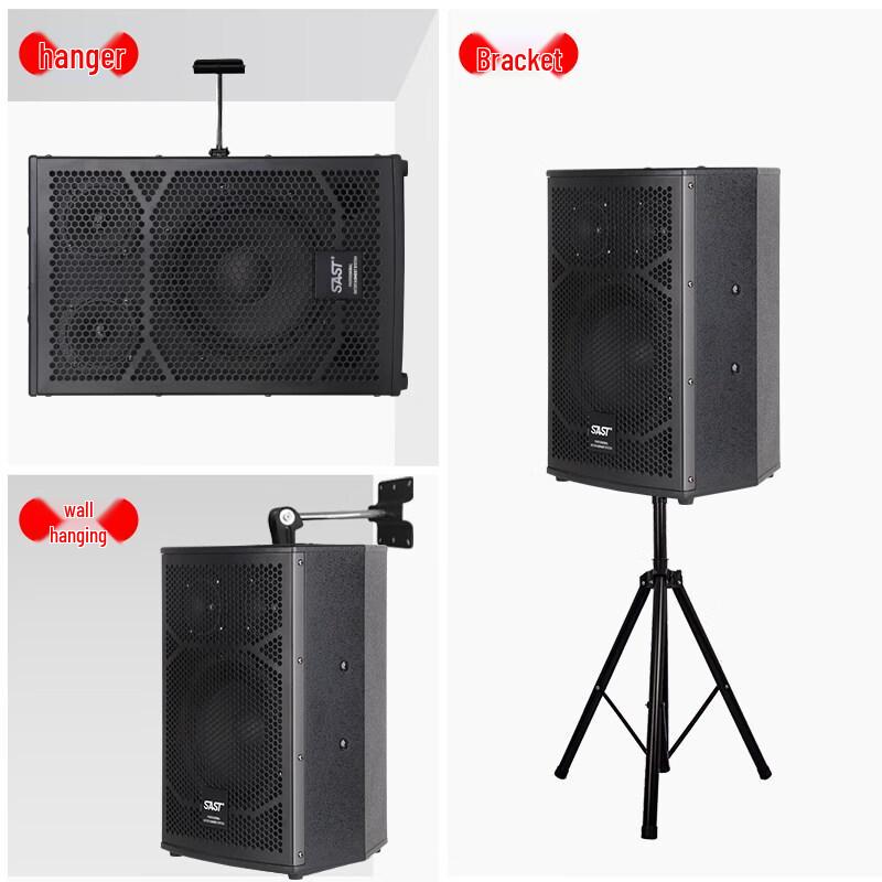 SAST H8 8-inch Audio System with Amplifier & Dual Mics (CN version)