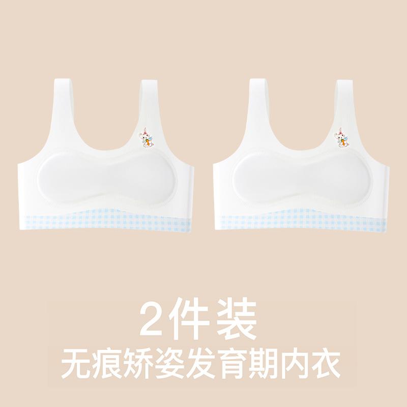 Girls' Underwear Development Period, One-year-old Girl Bra, Primary School Children's Small Vest, Girl Junior High School Seamless