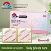 Japan Kawamori Snow Lotus Intimate Panty Liner - Women's Ecological Care Pad