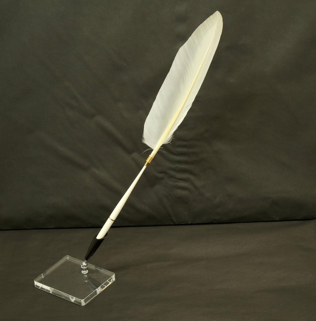 2 Set Pack Japanese Processed Goose Feather Plastic Shaft Banker Pen Transparent Acrylic Pen Stand with Black Pen Holder White Feather + Q-S5P1WG-2-W