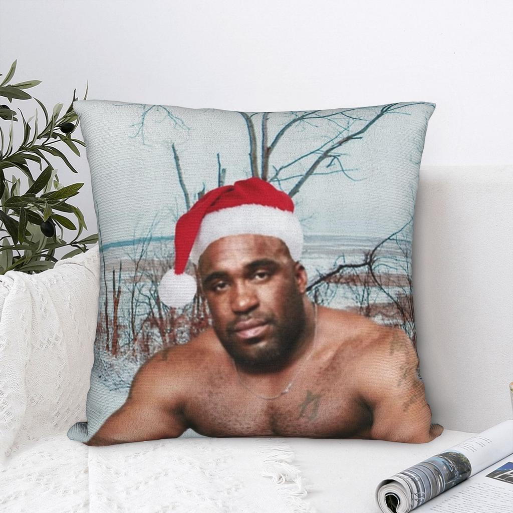 Decorative Pillow Cover Funny Barry Wood Meme Christmas Accessories Car Pillow Case Cover Zippered Multiple Sizes