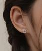 Tatiana (Silver 925) Kitty Step Earrings Ec3129