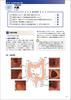 QUICK Physiology and Anatomy: Structure, Function, and Pathophysiology of the Human Body