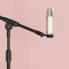 4pcs Mic Stand Clip Microphone Holder 270 Degree Rotation Standard Threaded Connection Universal Mic Clip Ring Bracket