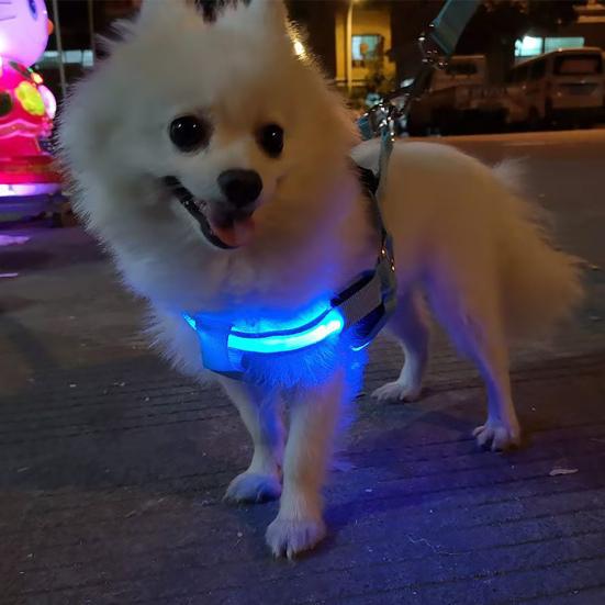 LED Pet Harness USB Rechargeable Light Up Dog Harness 3 Lighting Modes Adjustable Glow-in-The-Dark Safety Vest for Night Walking Medium Large Dogs