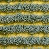 Miniature Foliage Set for Model Railway Displays