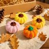 Knitted Pumpkin Tabletop Decorative Ornament Gift Box for Fall Home Decor