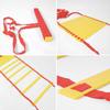 Agility Training Ladder