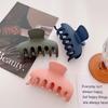 Chic Macaron Color Medium Hair Claw Clip Stylish Minimalist Hair Accessory For Women