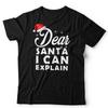 Christmas T Shirt Unisex and Kids Dear Santa I Can Explain Naughty Nice Funny Xmas