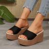 Foreign Trade 2025 Summer Thick-soled Slippers Women's Shoes European and American Waterproof Platform Thick-soled Outer Wear Slippers with Slippers