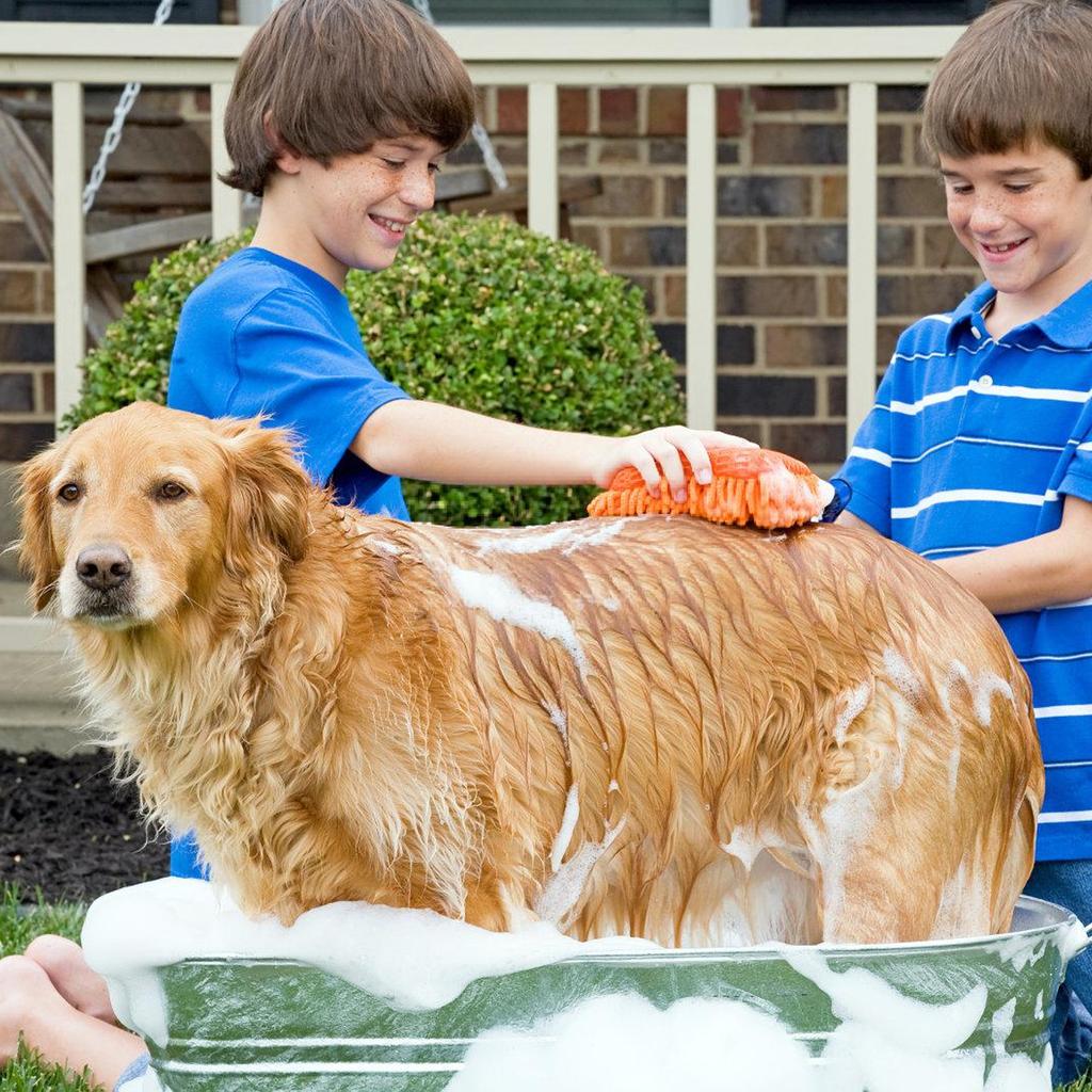 Pistolet Pulvérisateur Électrique à Haute Pression pour Tuyau d'Arrosage de Jardin avec 7 Embouts Amovibles en Acier Inoxydable pour Lavage de Voiture et Irrigation de Plantes