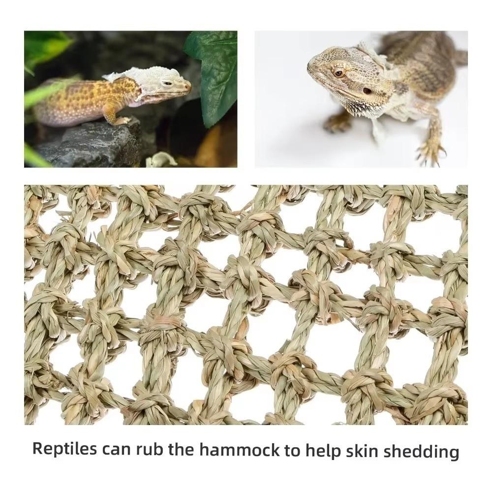 Suction Install Reptiles  Hammock Climbing Perch Lizard Rest Cushion  Cage Accessories