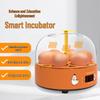 Розумний повністю автоматичний інкубатор для яєць (малий) для дому та дітей