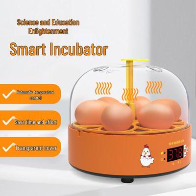 Smart Fully Automatic Small Egg Incubator for Home & Kids
