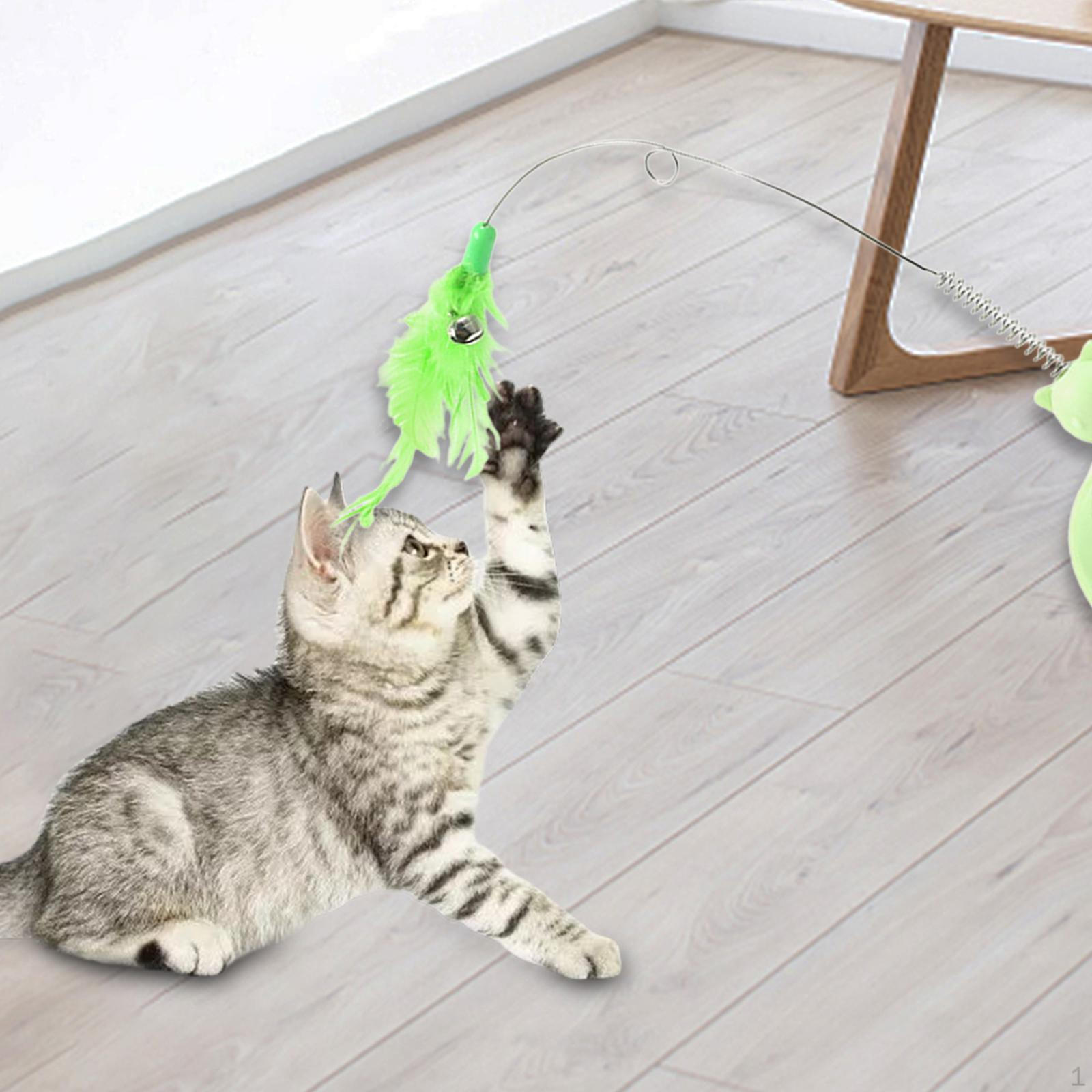 

Игрушка-ошейник с перьями для кошки, товары для питомцев, обогащение, дразнящая палочка