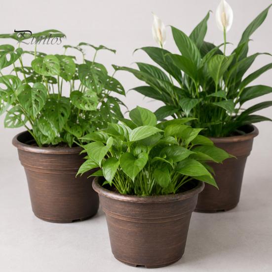 Drainage Pots for Succulents Retro Flower Pot with Saucer, Bronze Finish Plant Holes, Planters Flowers Breathable Thickened Plastic Planter