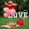 Red Pink Love Printed Balloon Set Loveyou Printed Love Balloon for Proposal, Wedding, Birthday, Anniversary, Romantic Decoration