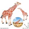 Giraffe Model Educational Toy for Kids' Science Learning