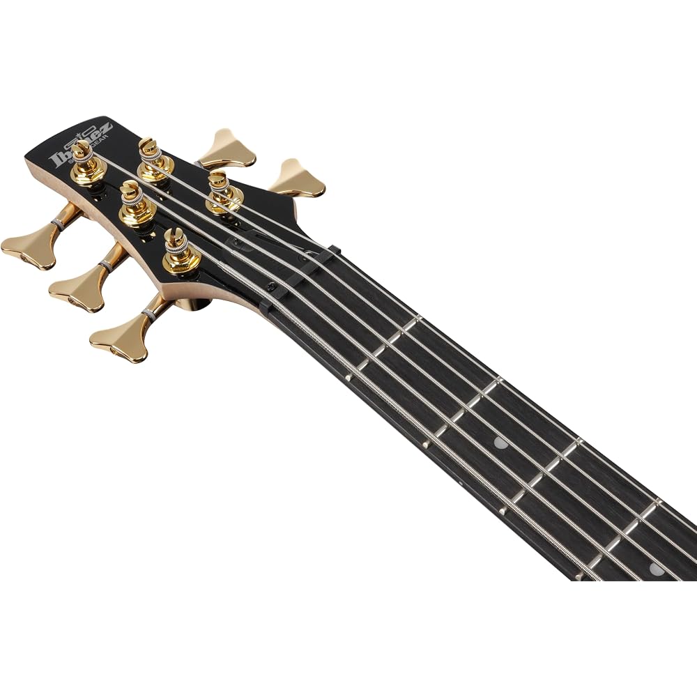 Ibanez GIO Series 5-String Electric Bass Transparent Pale Black Burst GSR205PC-TPB