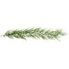 Christmas Norfolk Pine Rattan with Pine Needles & Cypress Vines - Artificial Greenery for Decoration & Landscaping
