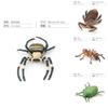 Impressive Pvc Insect Figurines Featuring Colorful Butterflies Ants Beetles And Spiders For Nature Lovers And Collectors