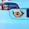 Cute Pom Car Stickers Scratch Blocking Self-Adhesive Waterproof Decal, Used for Car, Laptop, Motorcycle, Van, RV