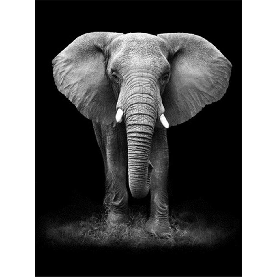 5D Round Diamond Painting "animal" Lion Tiger Diamond Embroidery Cross Stitch Kit Rhinestone Mosaic Picture DIY Decoration Gift