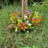 Flores Artificiales para Plantas Falsas de Exterior - Arbustos de Plástico Resistentes a los Rayos UV que No se Desvanecen - Decoración de Hogar de Primavera, Jardín Rústico, Vegetación de Exterior outd